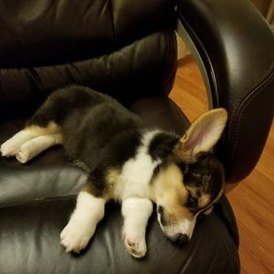 Meet your Posher, Andy